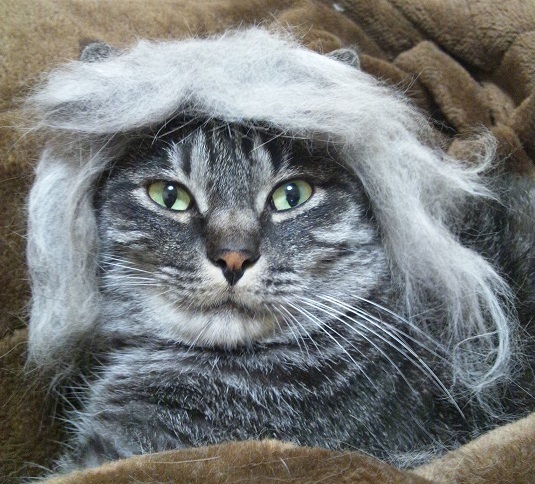 Img_03d4fb08b925d2f9436f3e1769f732e8