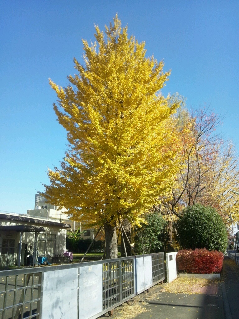 Img_04e27b93b95ef6613bfe28482ce4cfe4