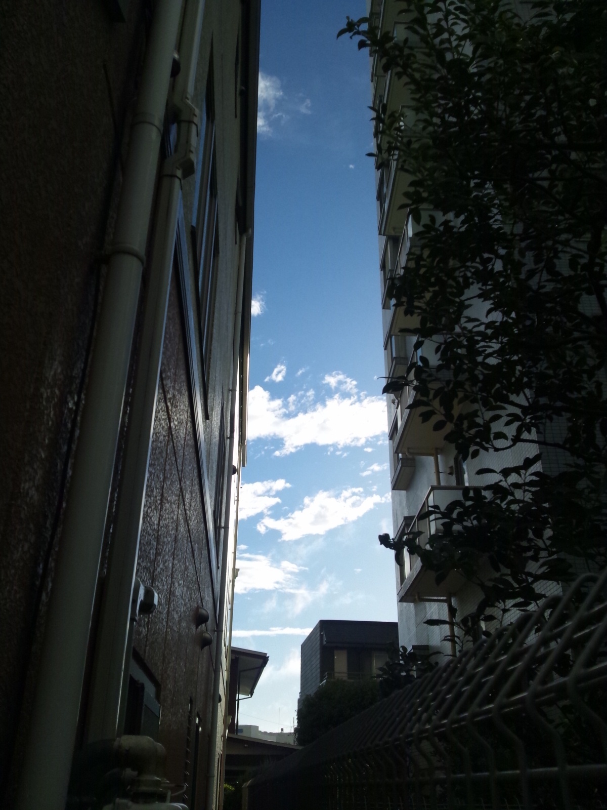 Img_151e3697818d206642af22287195ed72