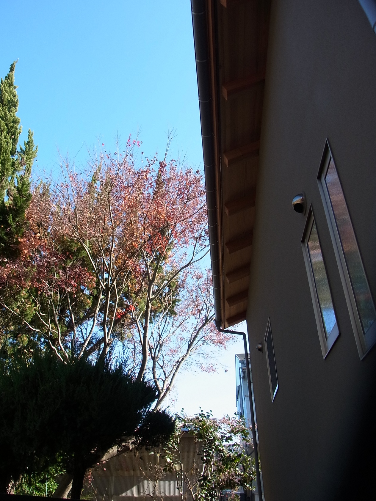 Img_160876585e3789d3f3a722fd8edbccb99e881206