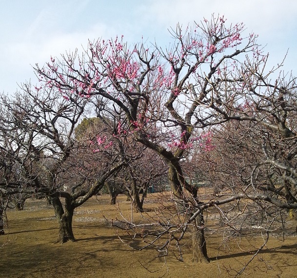 Img_1670e889cca9857cd47645a0b2928797