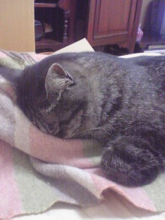 Img_16c2c802f0df93e01ec2f6c33f87e711