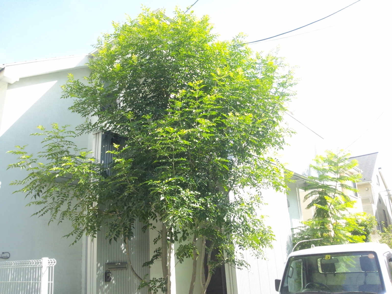 Img_18dffab1fe7ccba9cee05235ee8d4d18