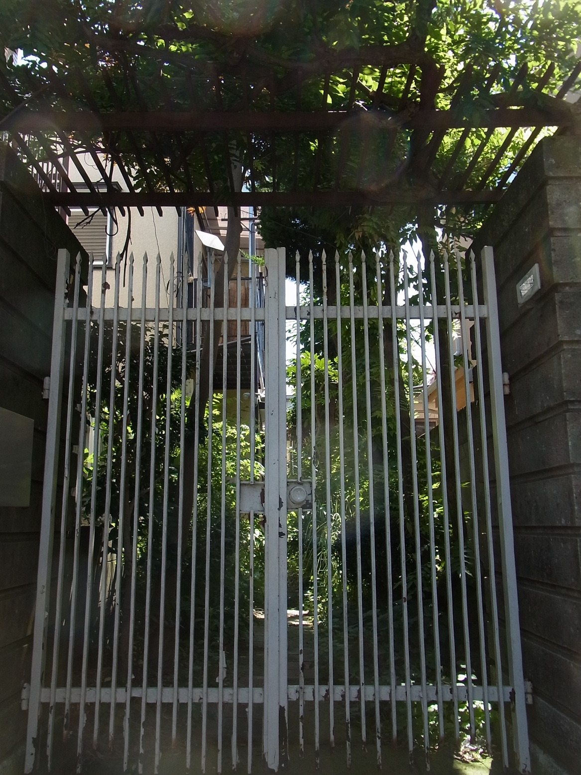 Img_1a6db1f85647a7603e82f81466dec16d99a5c50d