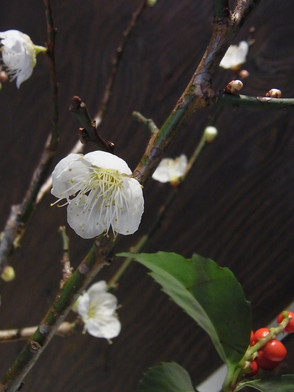 Img_1d31cd94030edc5e2de89cbf42a6476e