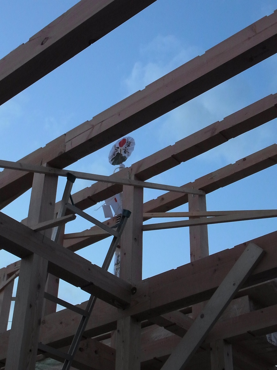 Img_2000b8186cbd113c505833c6a41c3585c439035b