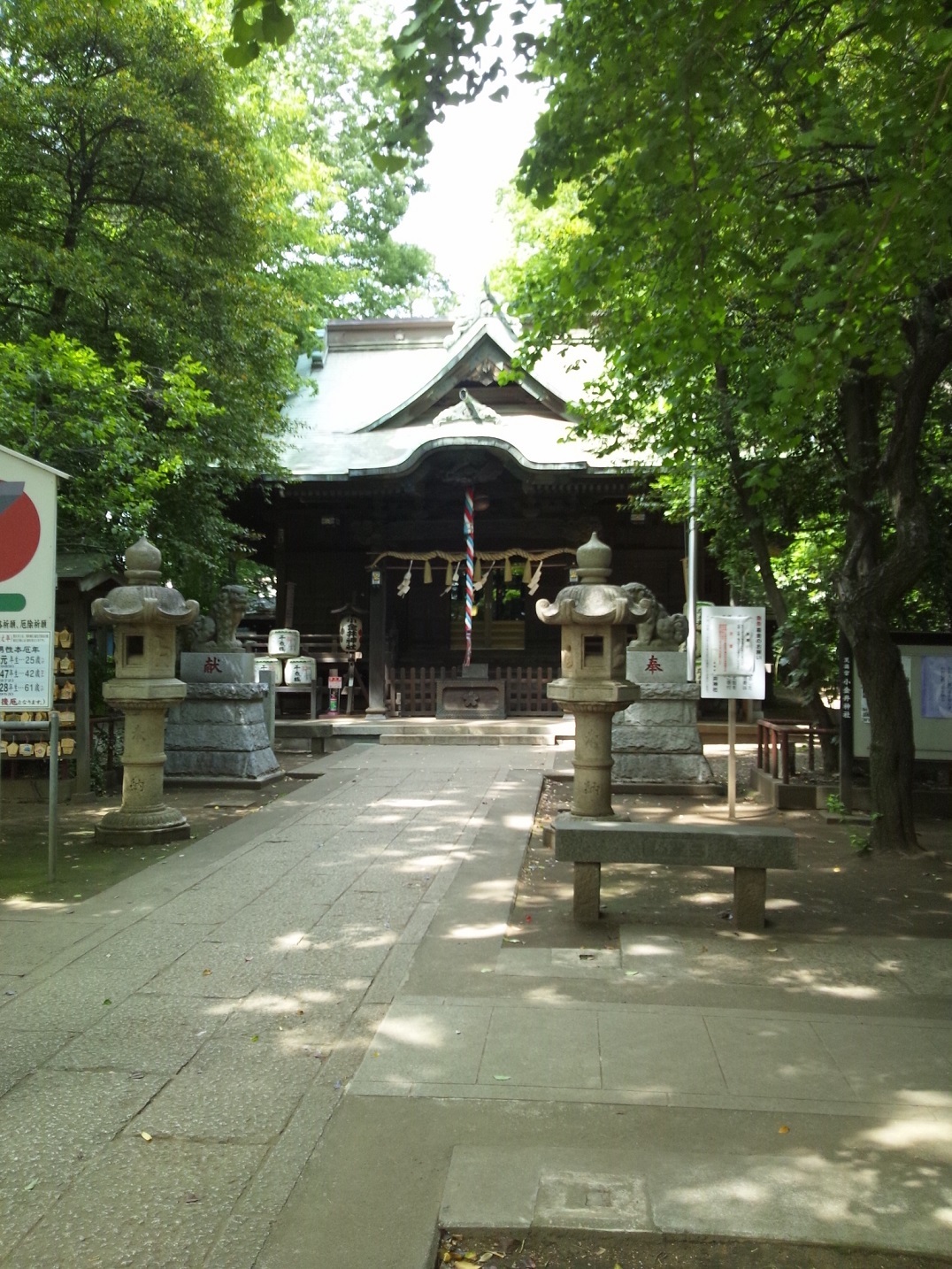 Img_205b5d1282347edd7eb23a91fdb5b3ad