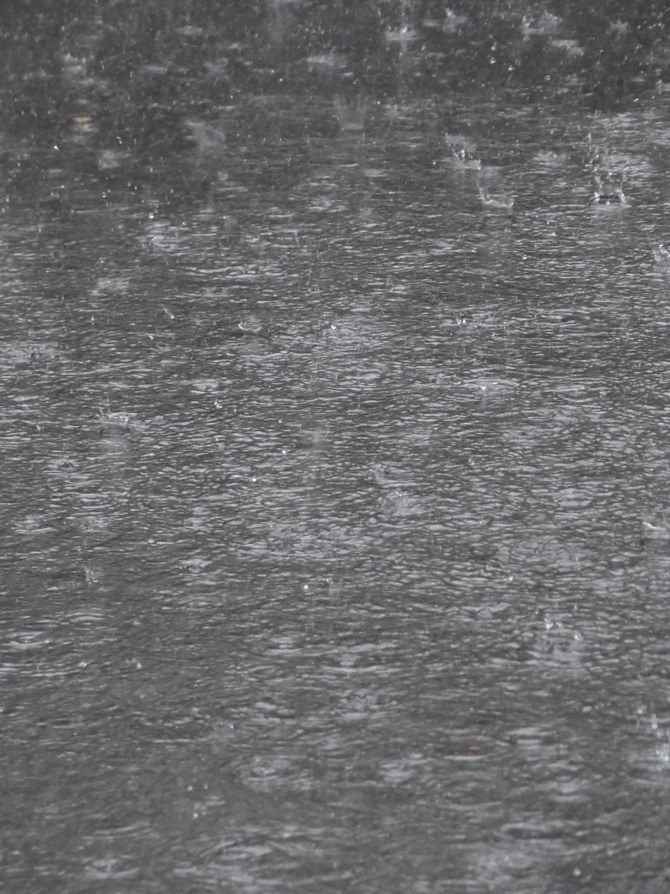 Img_272e88ad8ddedb5c7cc75eb3604fda0c41298f92