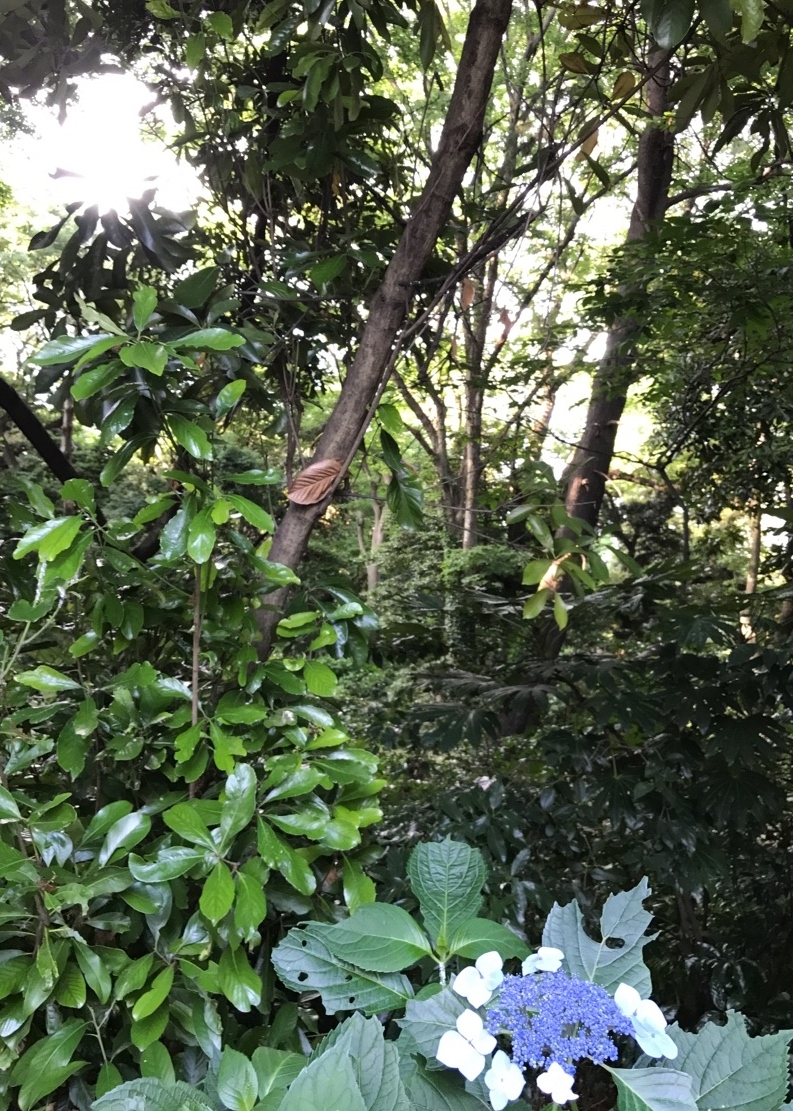 Img_2a3fd1547fb8de078d5001e14a123104