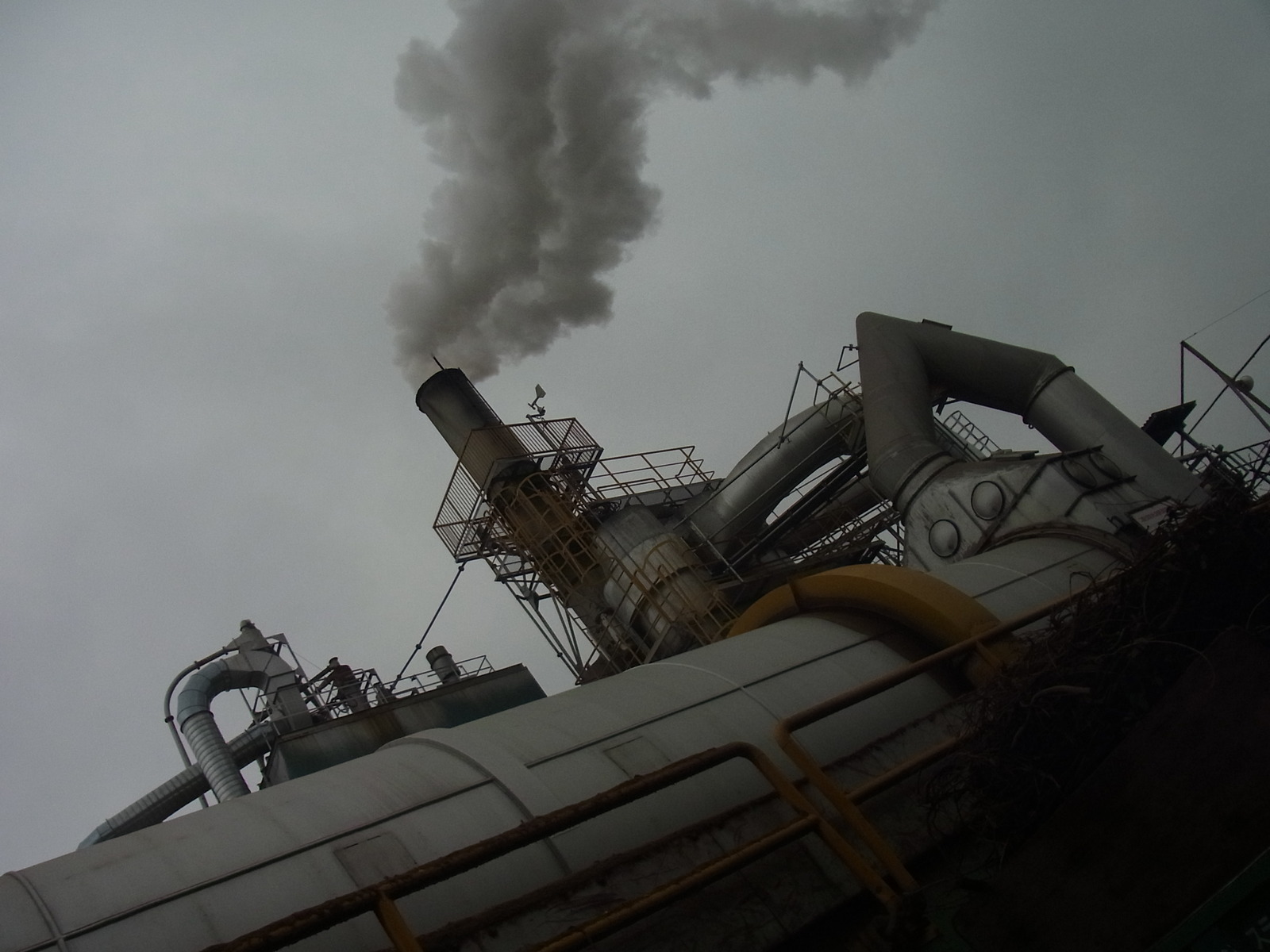 Img_2c4de8200d3591dceb9042292383976d