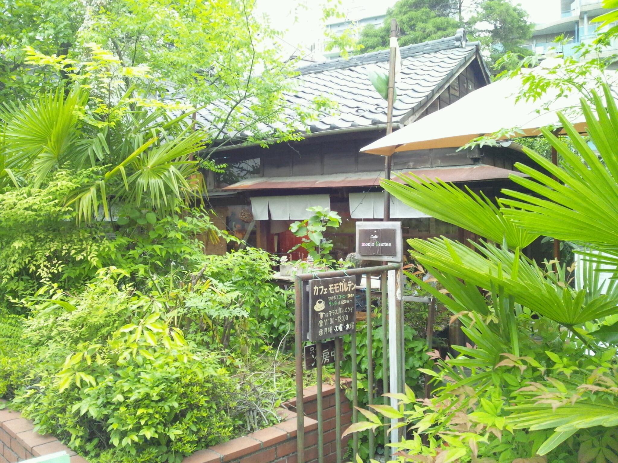 Img_2fcb83817ac38f0dfefccc4d9e654bdd