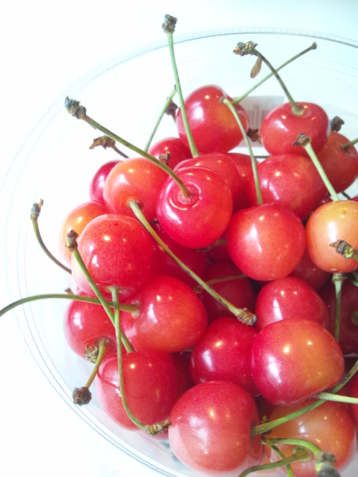 Img_397ce24d486c4d8dbf34d3fcd1150a67