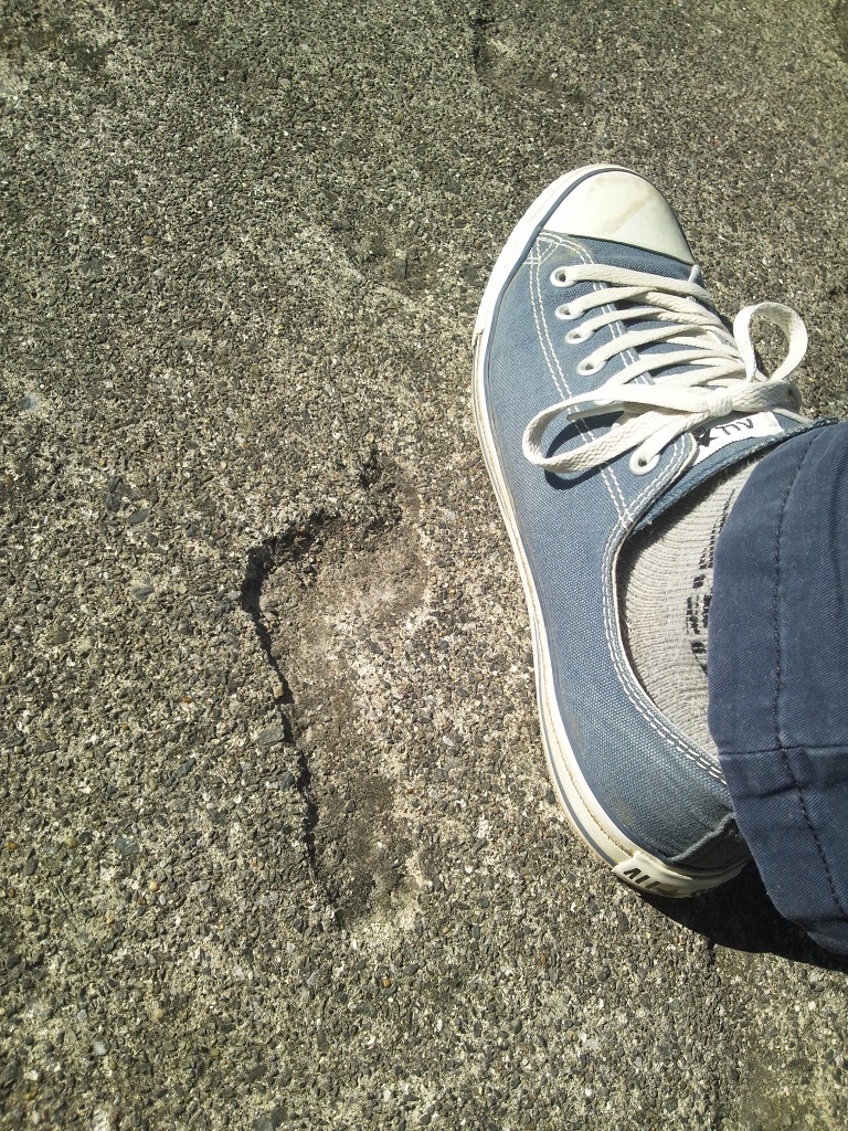 Img_3c0bf5b5f04428bcb9fddad70c64e4c0