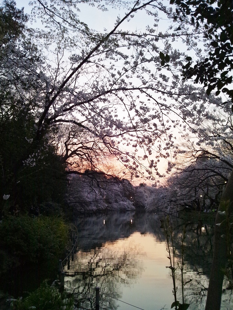 Img_4a82f22a71532a5c197a93af7af3c127