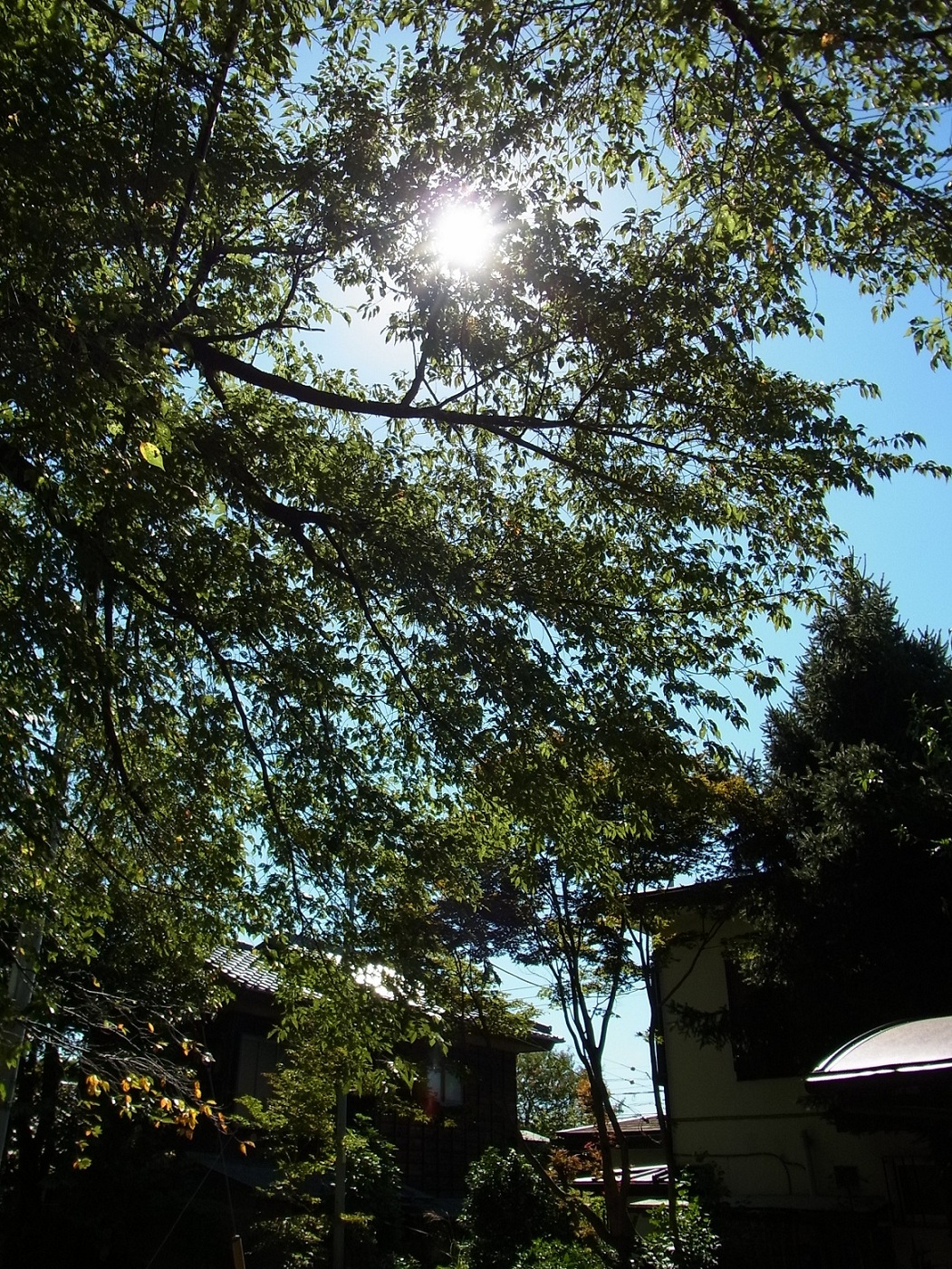 Img_5089948d2158c38613f9b7cae559fc747cb47820