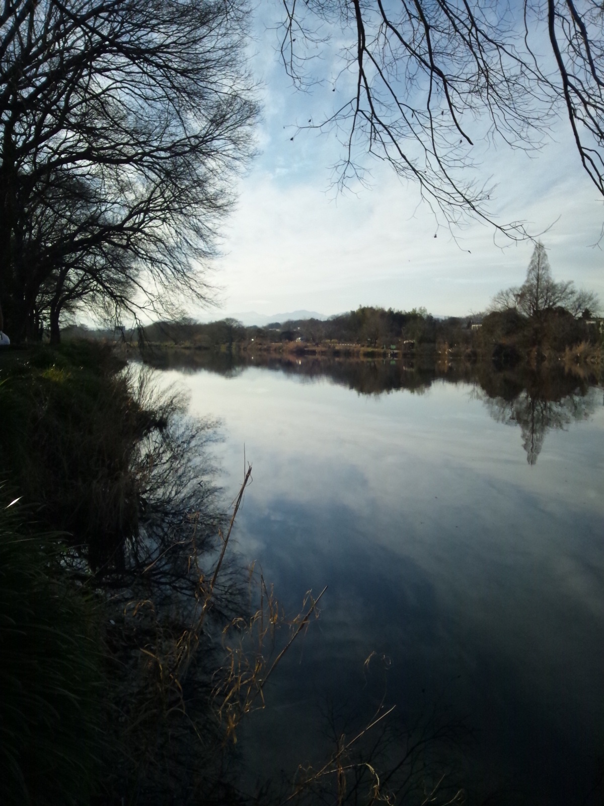 Img_51dd76ce2a640873cd3ec648af311faf