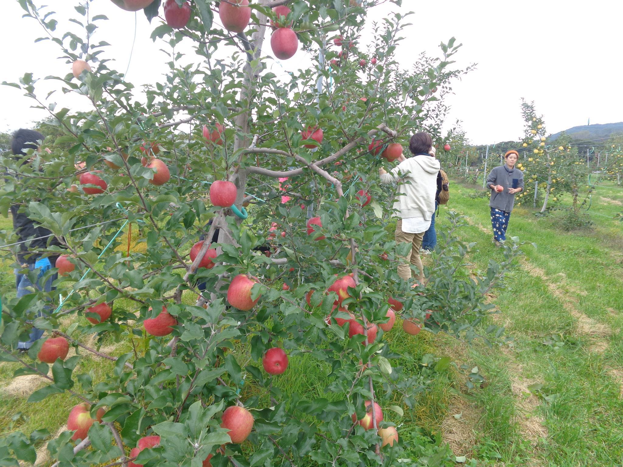 Img_5600ca882b035ac8b120a904442d7412