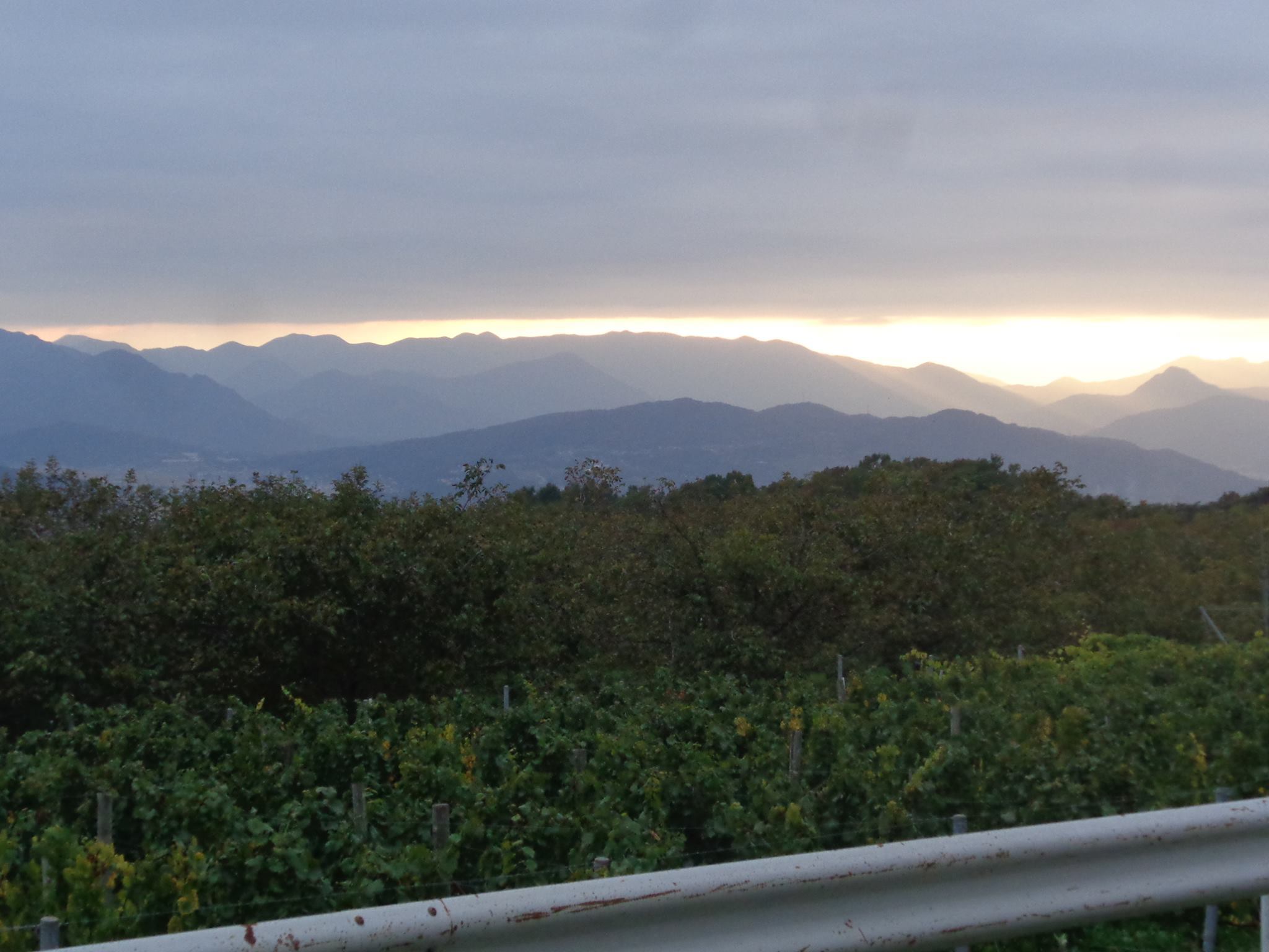 Img_5743fcf236cedaadbf48cf8a8c4b0501