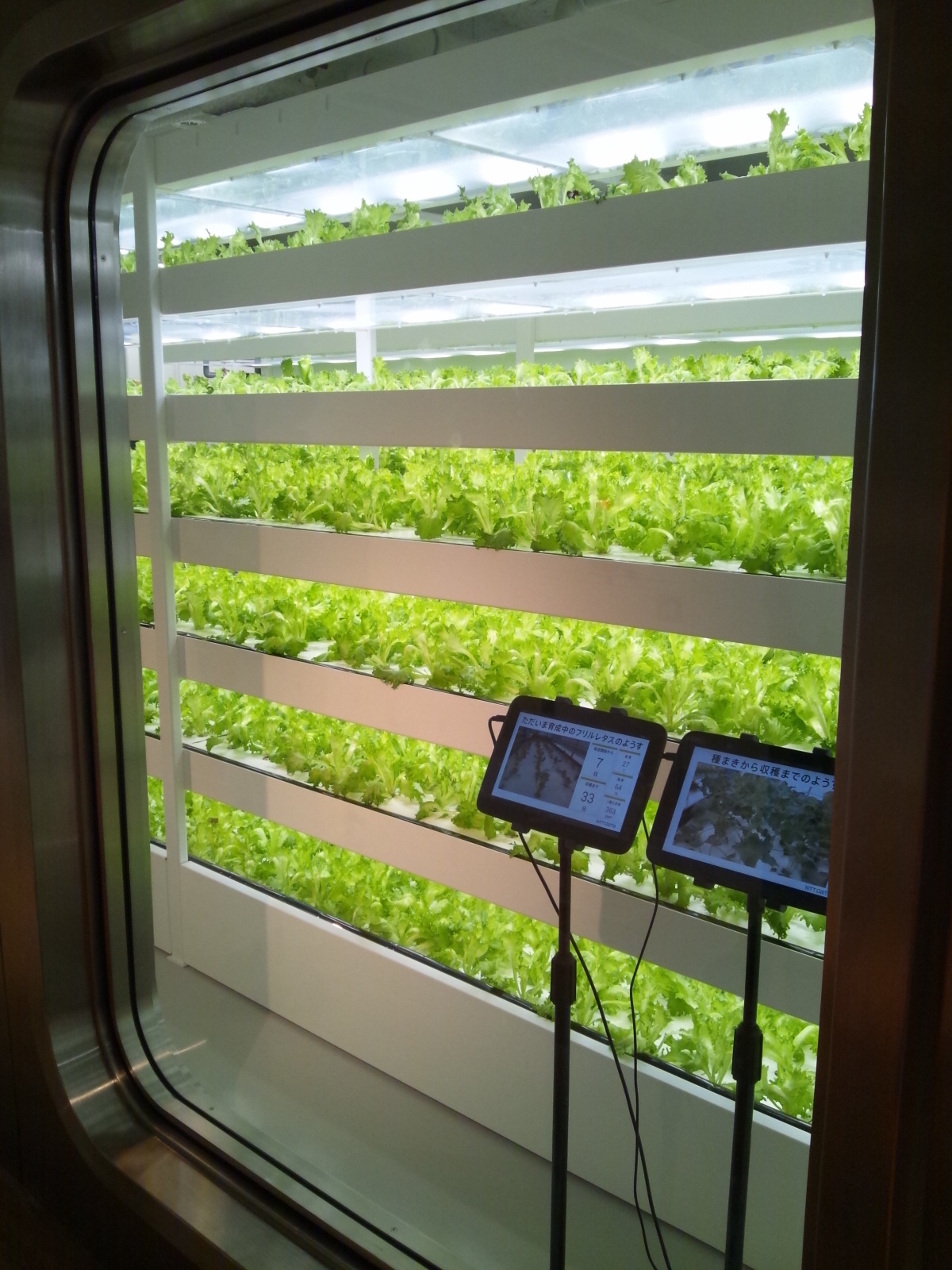 Img_5b5b8f4943da17739085d5fb0a677da3