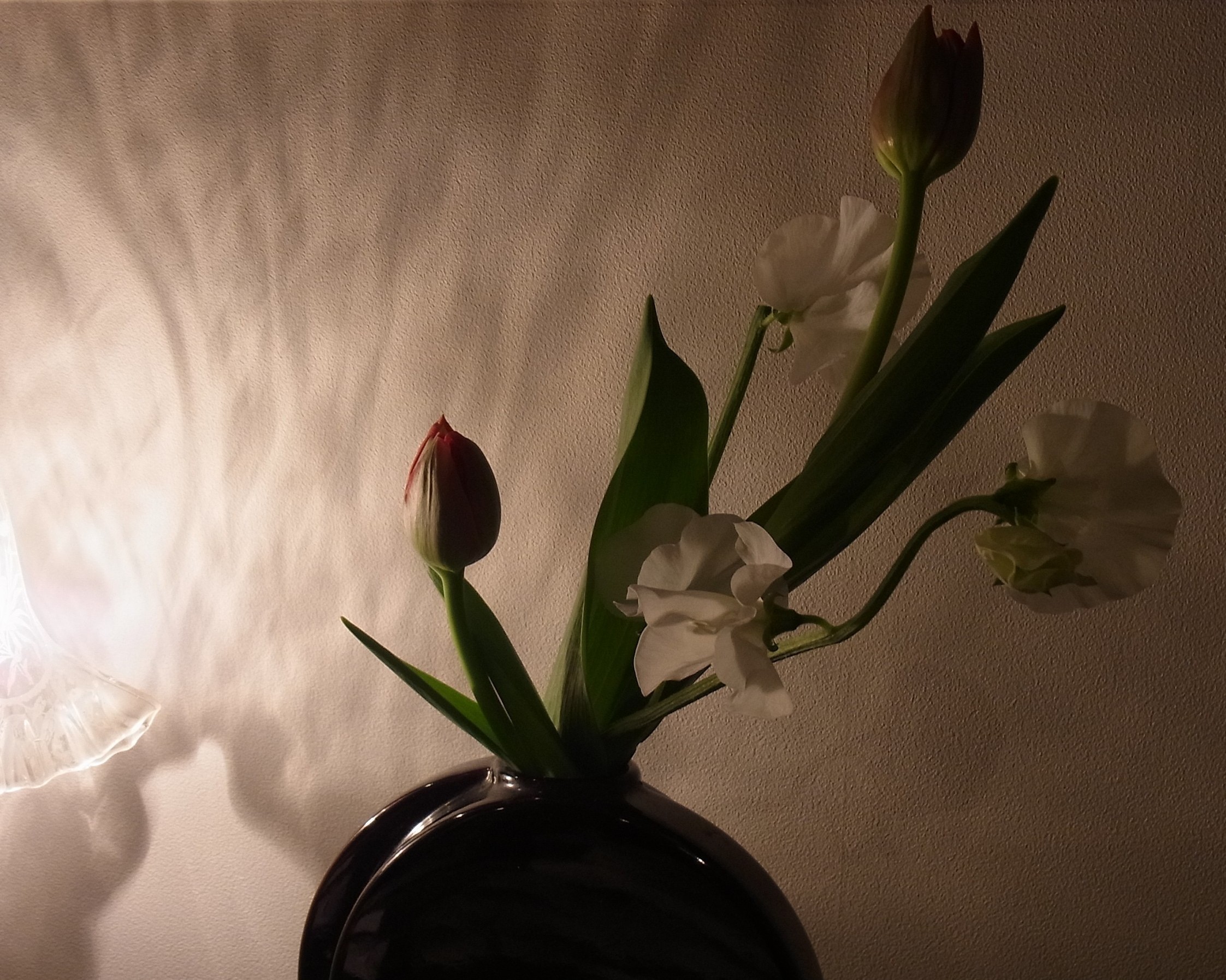 Img_66d993a83b18846cc3e9a2b1727455d27b0d3b82