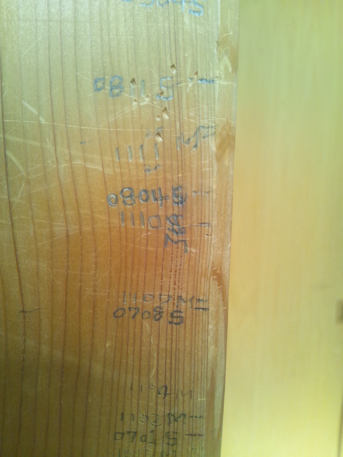 Img_6afe30d1b1d47eeba5c5986c6c73beb5