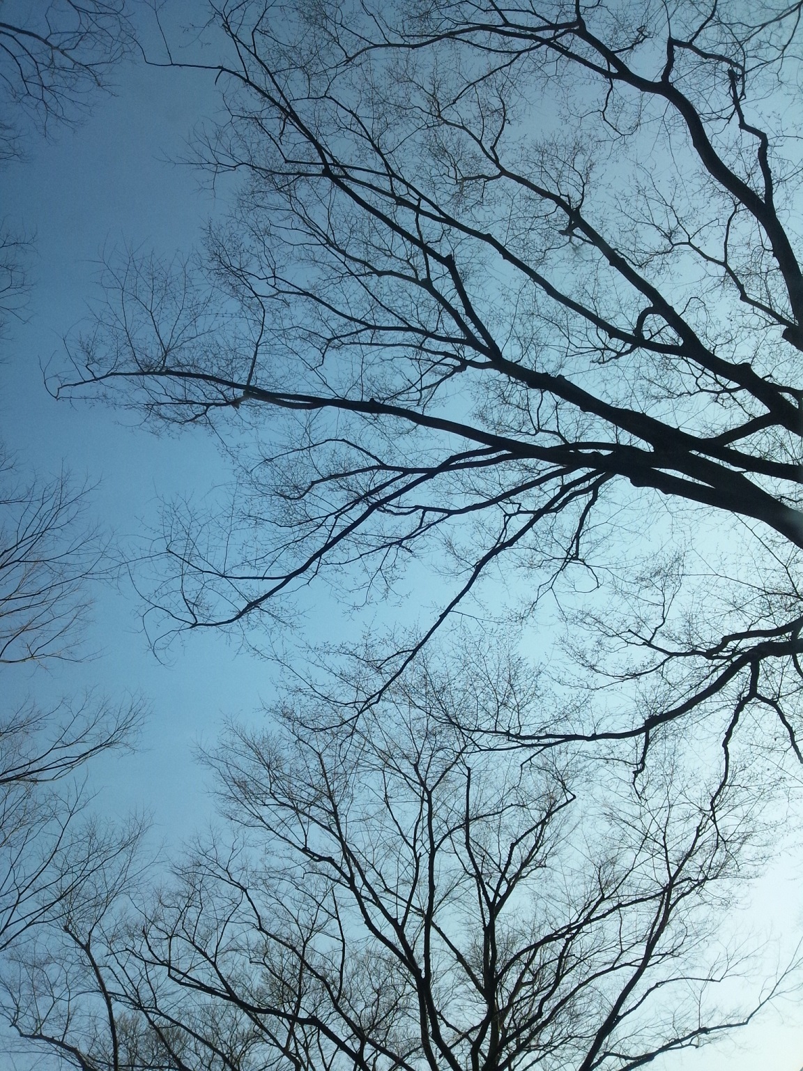 Img_6dd9f127dc8f94f9af9764e127c918cb