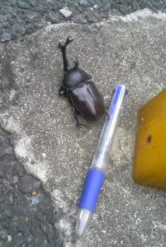 Img_700c4a4bf1eb8cfb3429c1cff9e9adcacc67764f