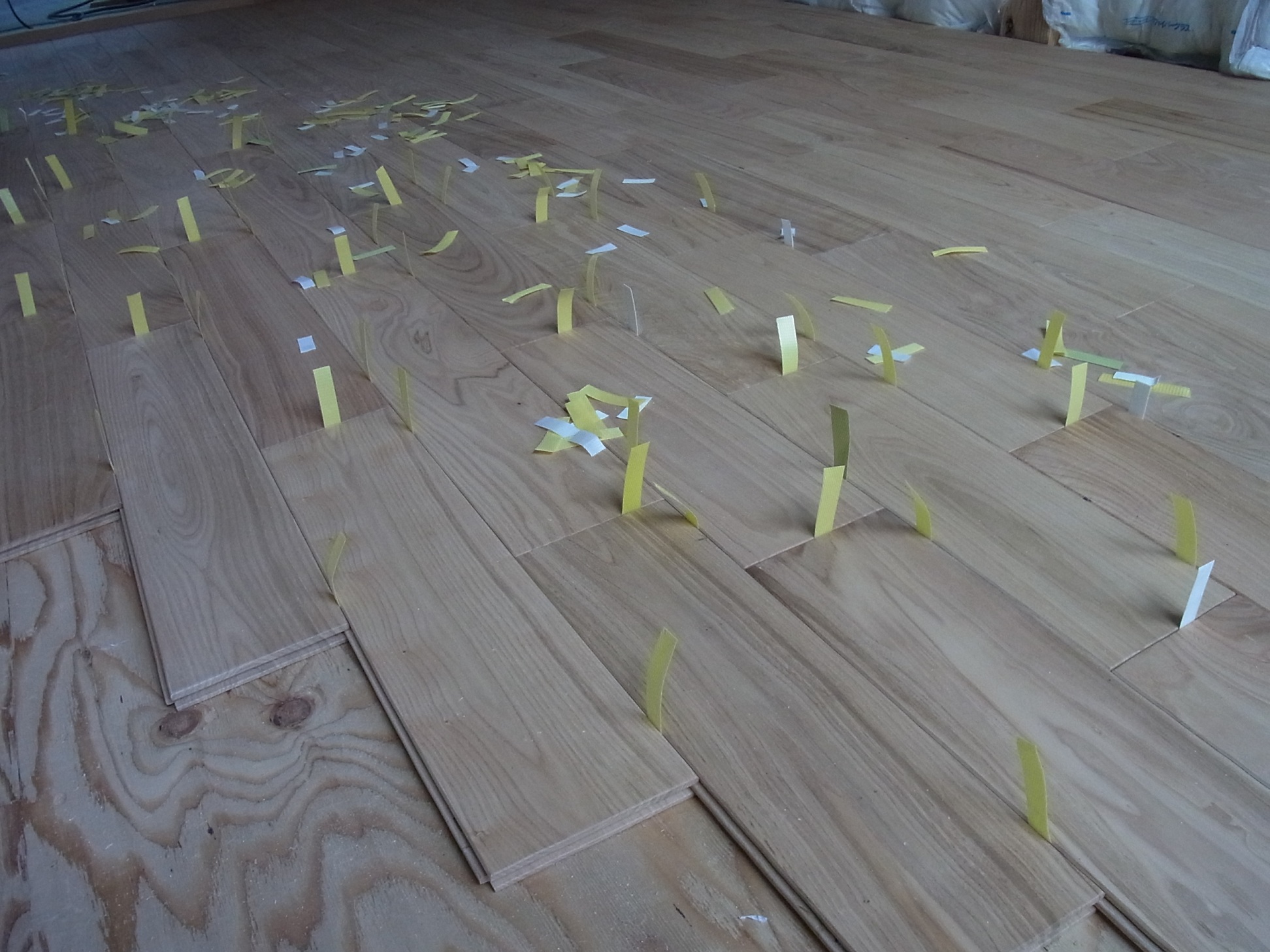 Img_714f6321639c7ed6499b8a1895a85dab2de549b3