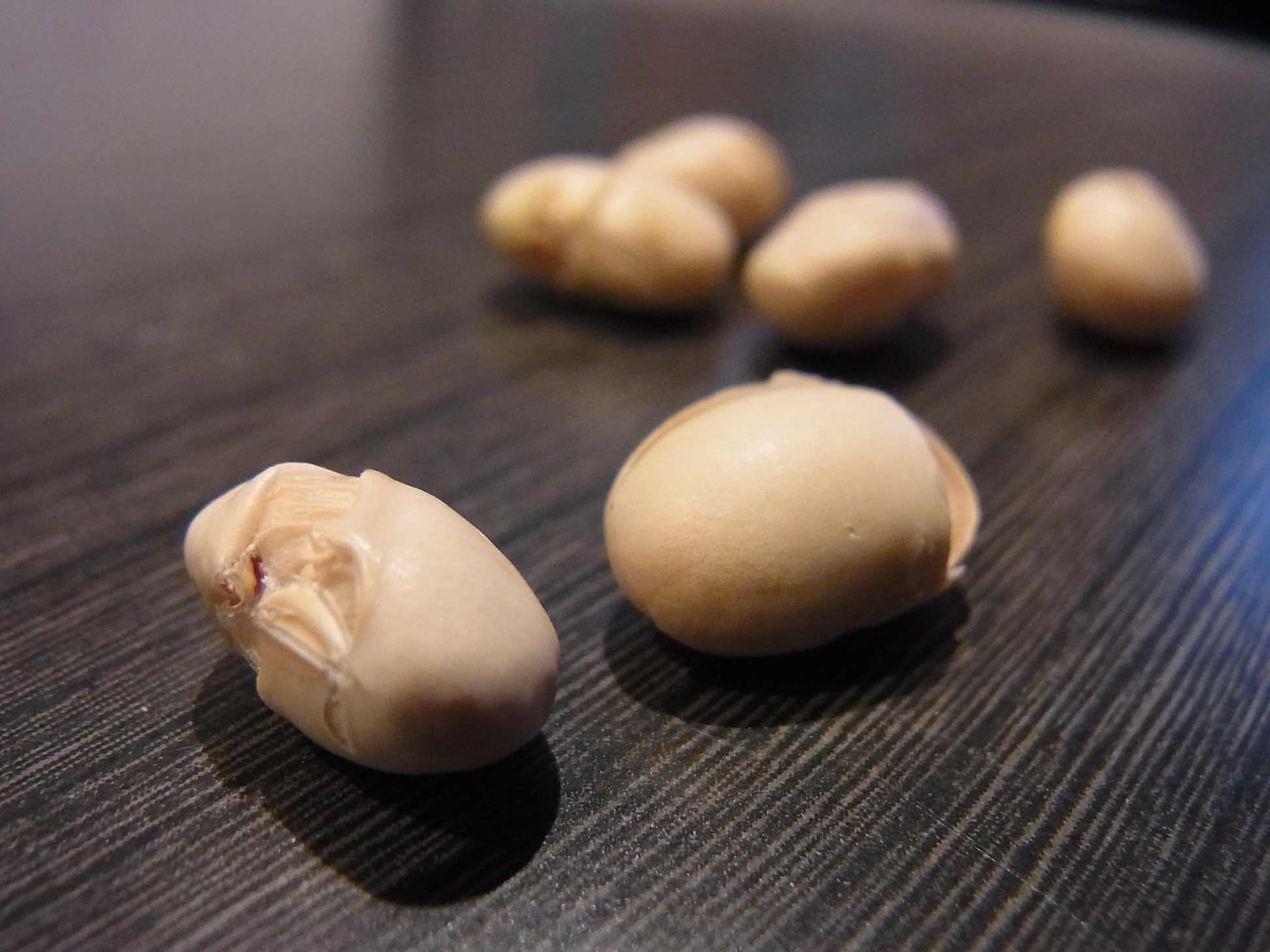 Img_755d6ce7347483a4fc46323ba747aee9a6a131fc