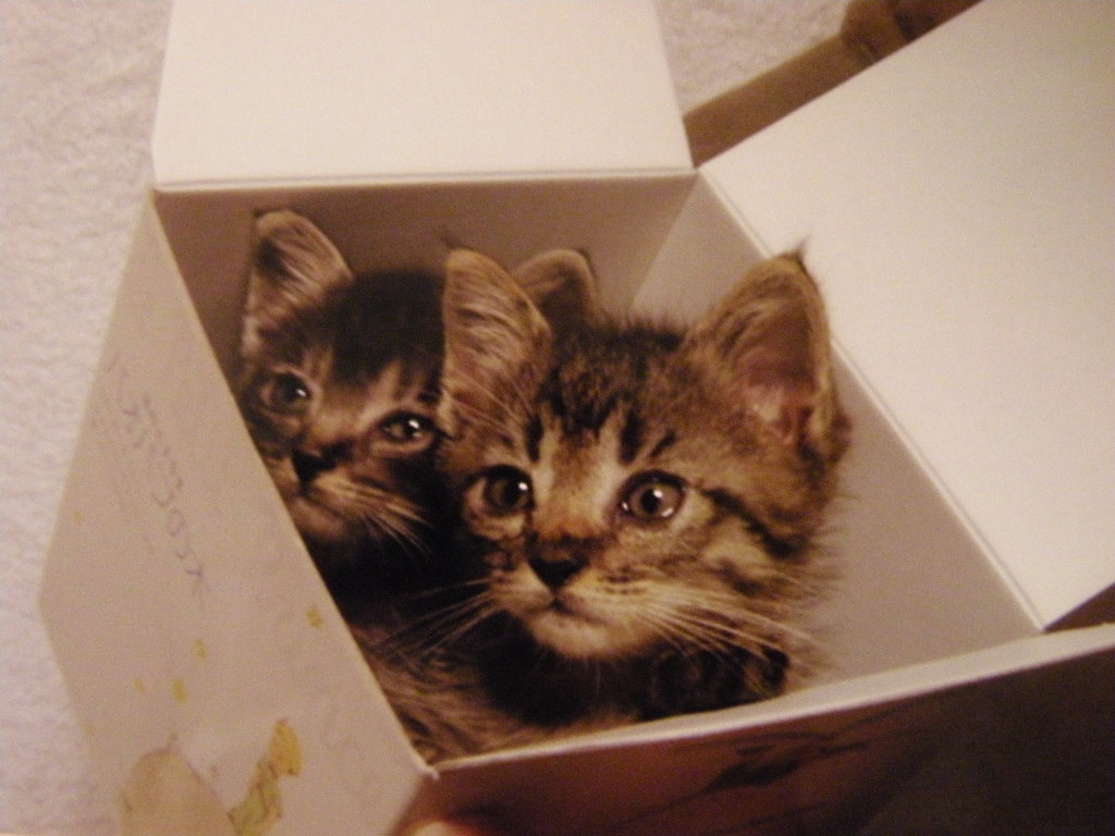 Img_76cef6d4cd30ab0e8992c54fcaae7bd0