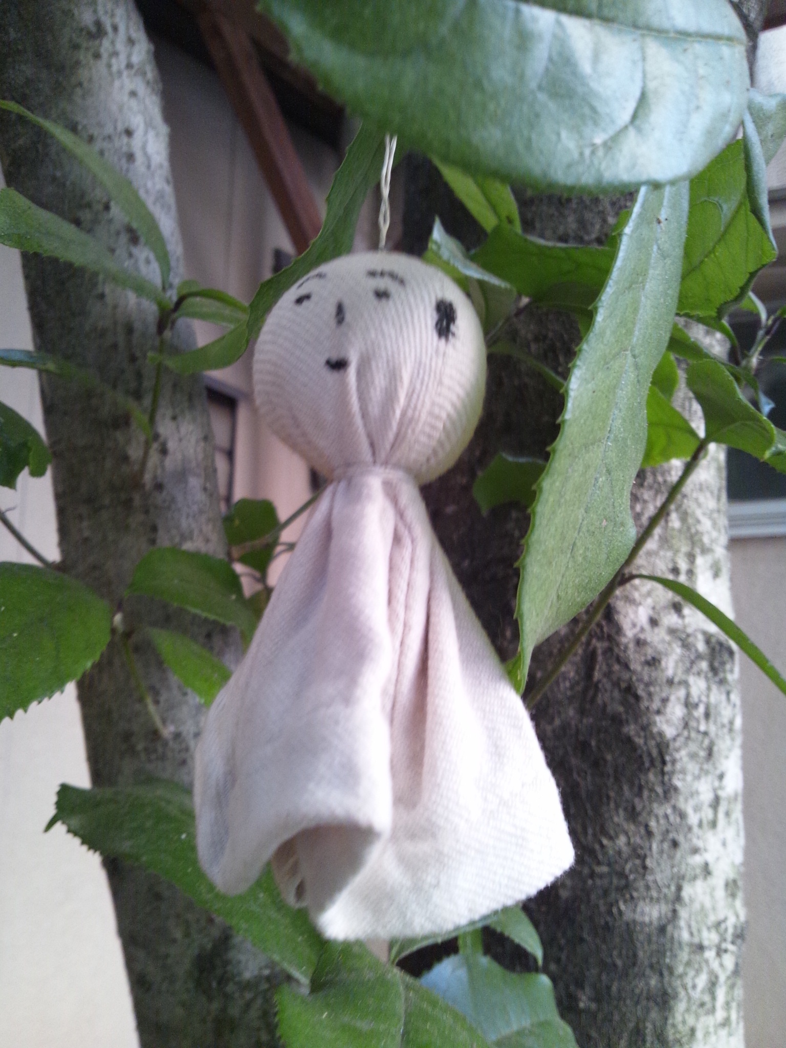 Img_7b9aa7ed25042208634fbc830543b472