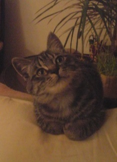 Img_7df9acdc46e155bbcd503a59ecd39587