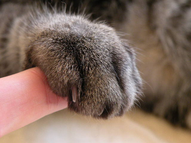 Img_806310fe42364837f6a1eb3f9dec21b42e72a05f