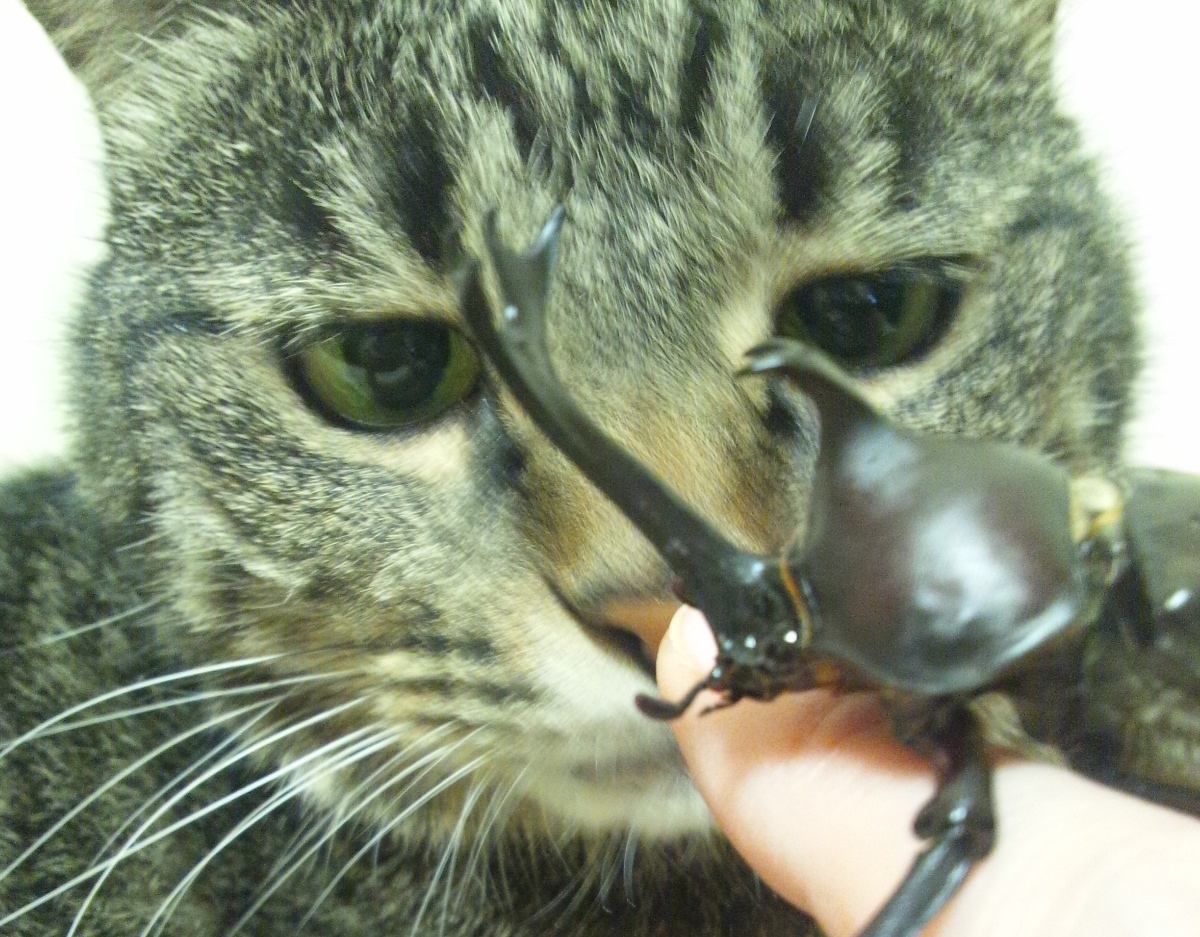 Img_8135a1b7cc12b1912c1d14c0d935f93d