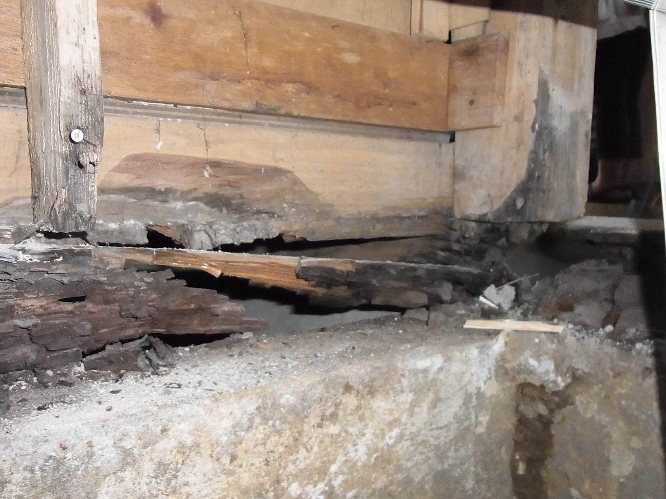 Img_88e4c8c2a9bfb0685ee3144418e15999df8feb3c