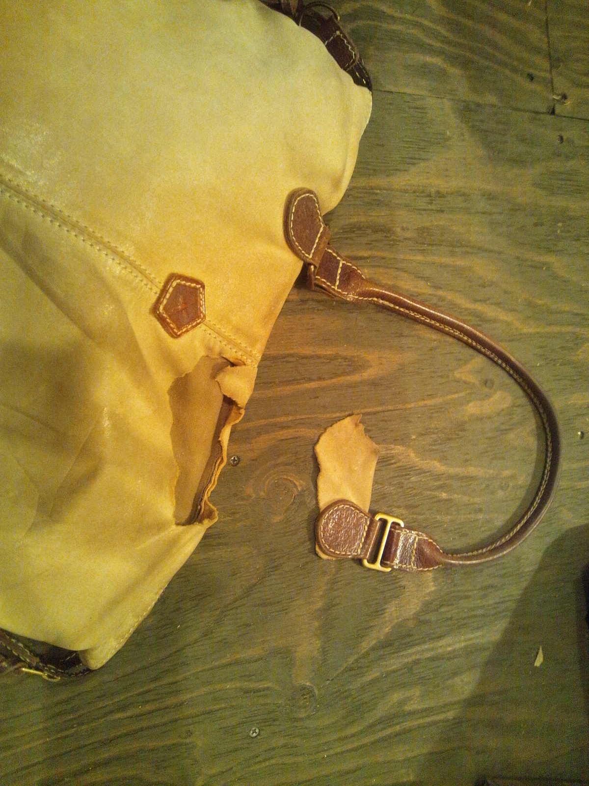 Img_8b45ad3f0debee488eabd916611f032c