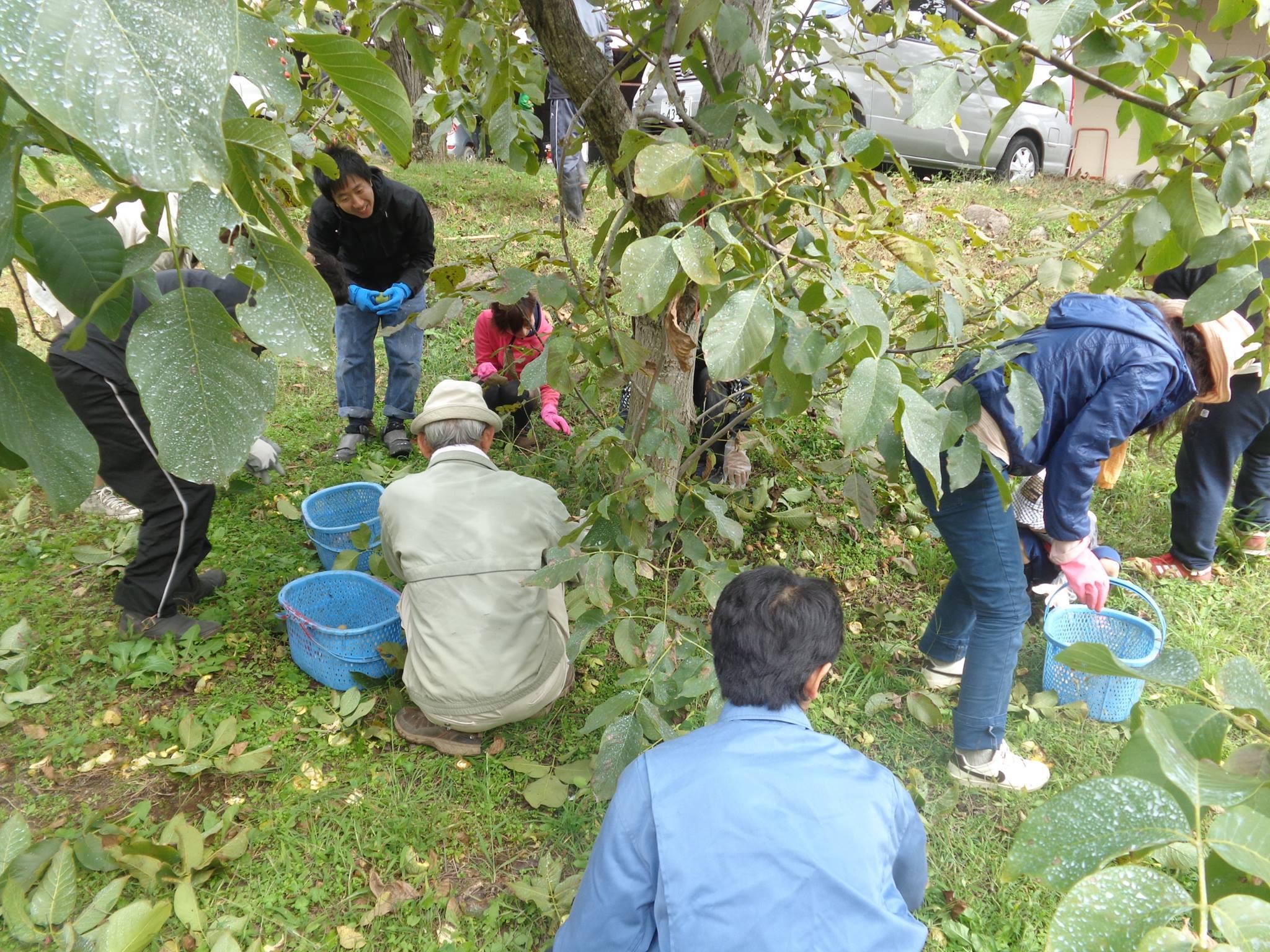 Img_8c8ec8262cfa4904db4f194a658ae8a0