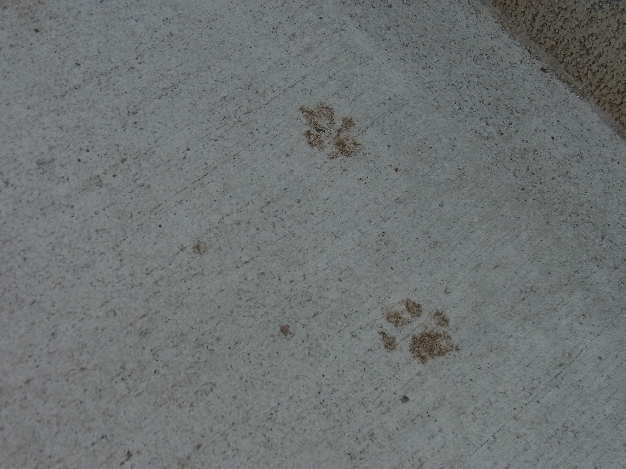 Img_8ef4afe95705ace1f1e318c971e043ddff190cb4