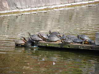 Img_9228ecb99818f12140b70585c545f22b