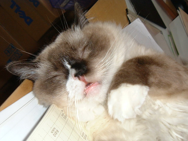 Img_92927030478e4391fddd2979706d8c04