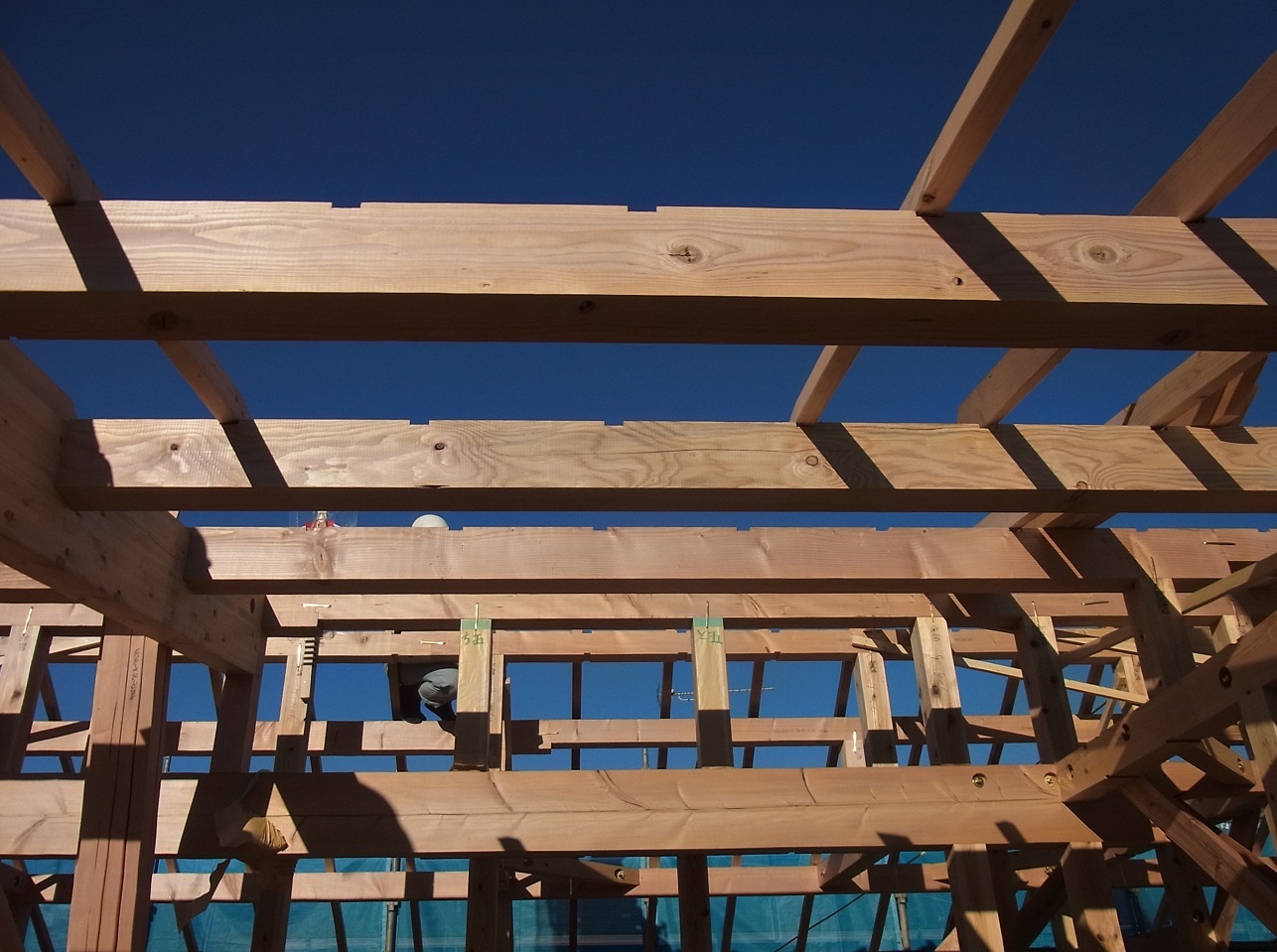 Img_9333683cc10a6836f123df8f52ef3342