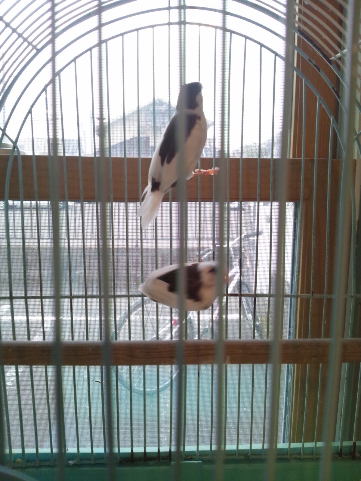 Img_95faf93553fa07284f74b47884ff705d