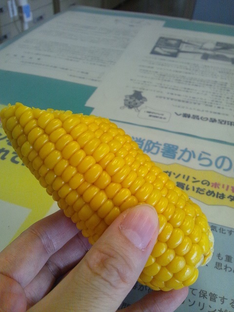 Img_992e9a9621b51aaaf31a20d45bb47fe2