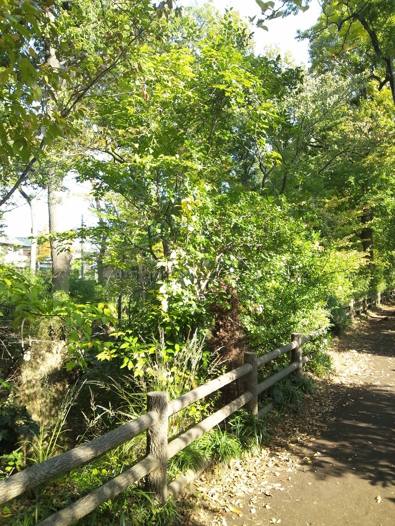 Img_a034b15bbae9544d9b1aa6fd541b93ae