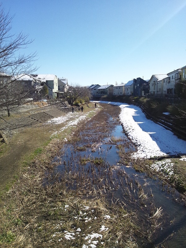 Img_a08374462af8a178039e78c99fbaa6a8