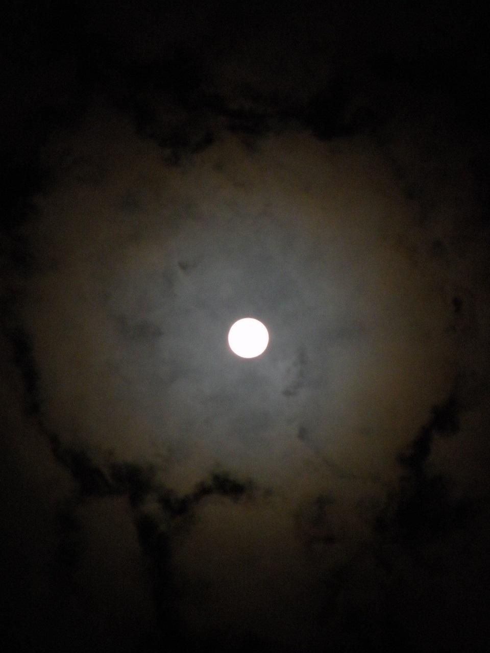 Img_aaf67c83a771a77e97ffdaf0a53c85bd