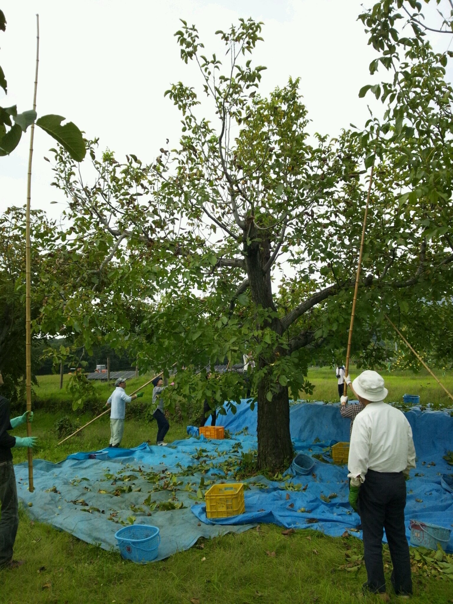 Img_ab5d5a67e0e58063c2999884f76532b2