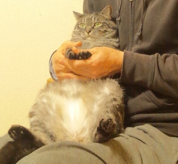 Img_b44a85ecc372699a27866ba25c914039