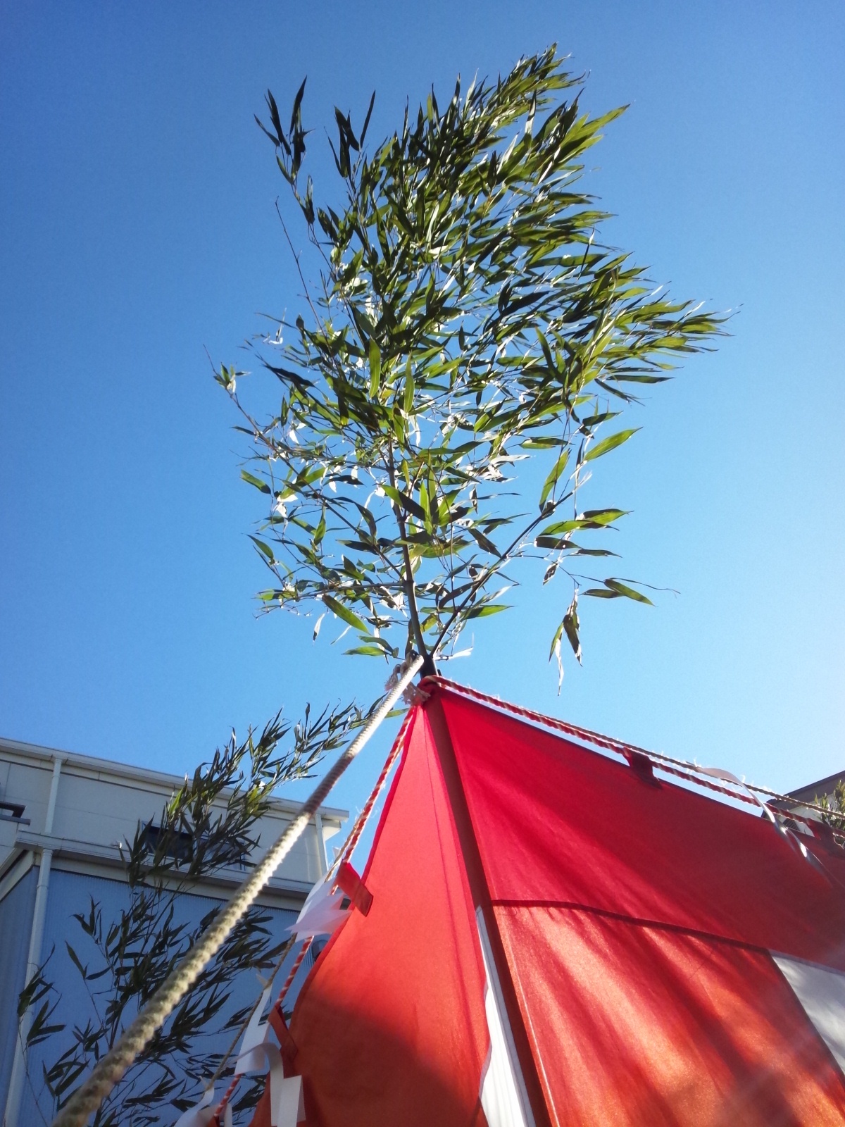 Img_bcd8f9df0ae1c5dcabebbd6a3c57ac6e