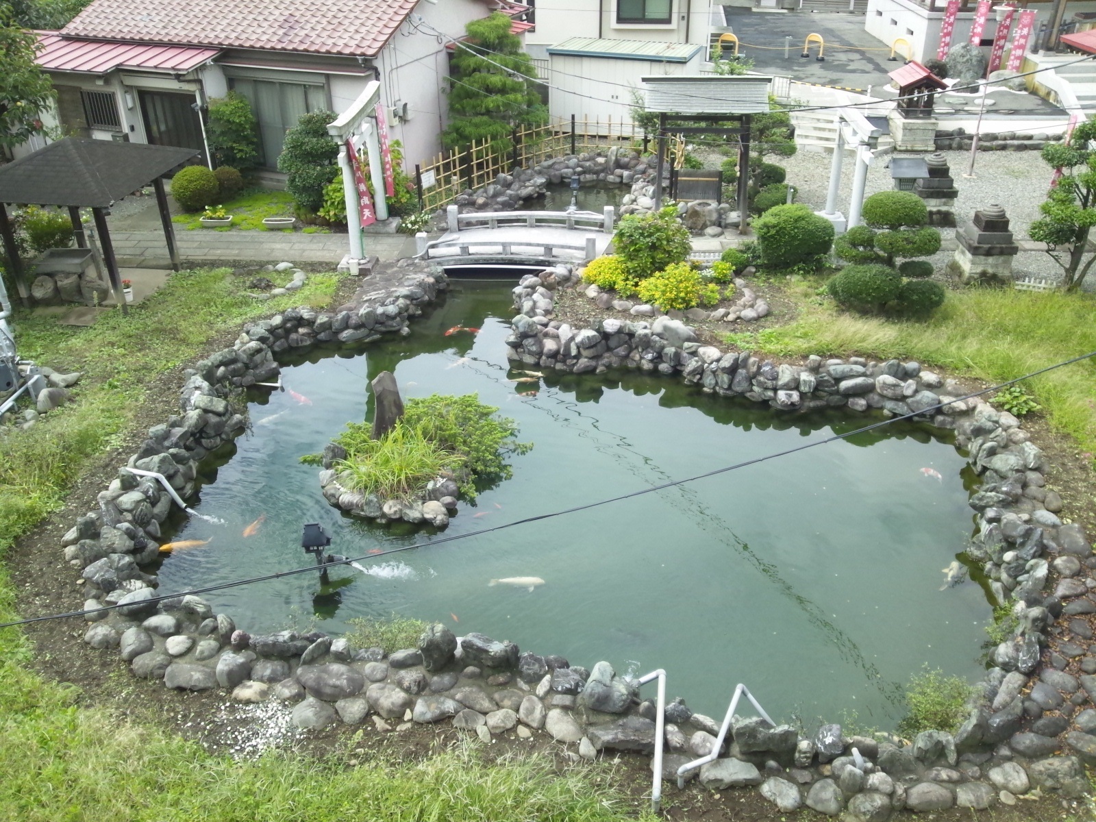 Img_bdde97d5d2e931ba77d10558cb66d959